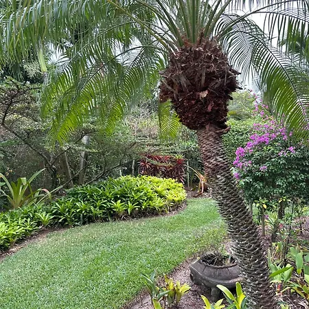 Florida House, 4Br 2Bt With Private Pool Oasis Vila